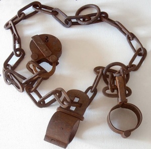 Old bracelets  Photo: André Karwath (aka) Wikimedia Commons